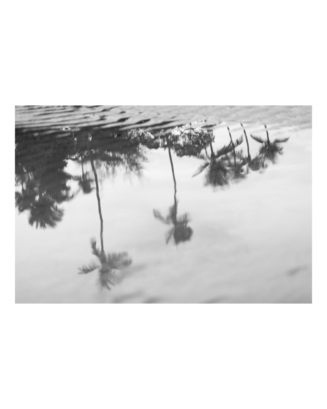 Art prints. Anka Fateeva Website