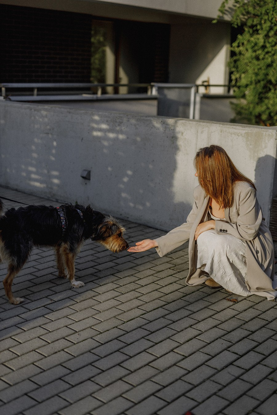 Emilia. Sesja w domu i ogrodzie. Fotograf w Krakowie i Europie