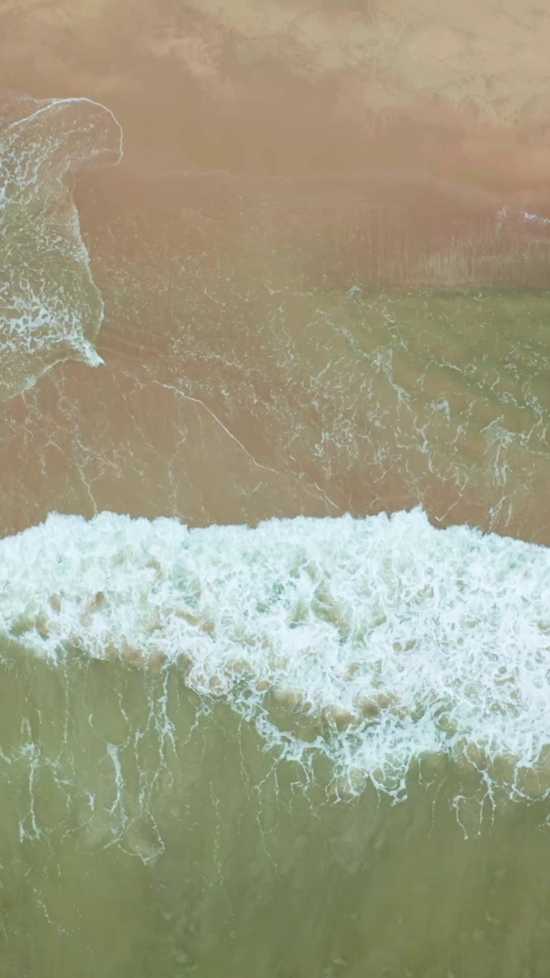 KOHLL BEAUTY EVENTO. ESTUDIO DOZE