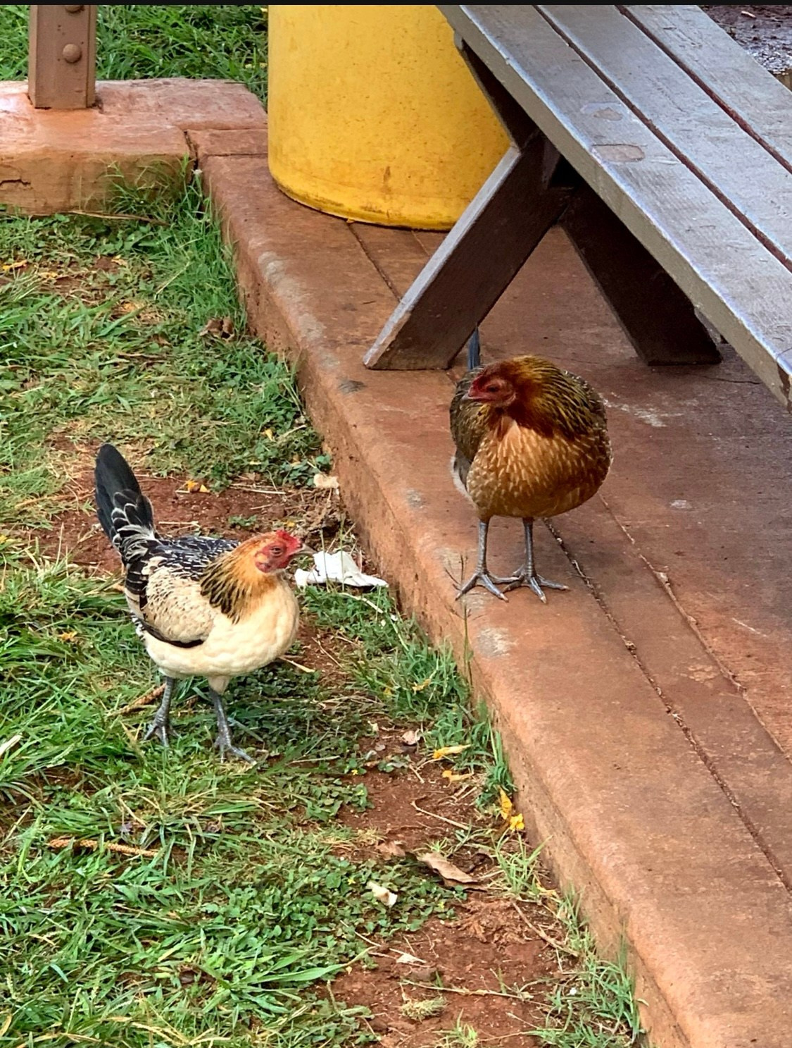 Lens Work From The Field 7