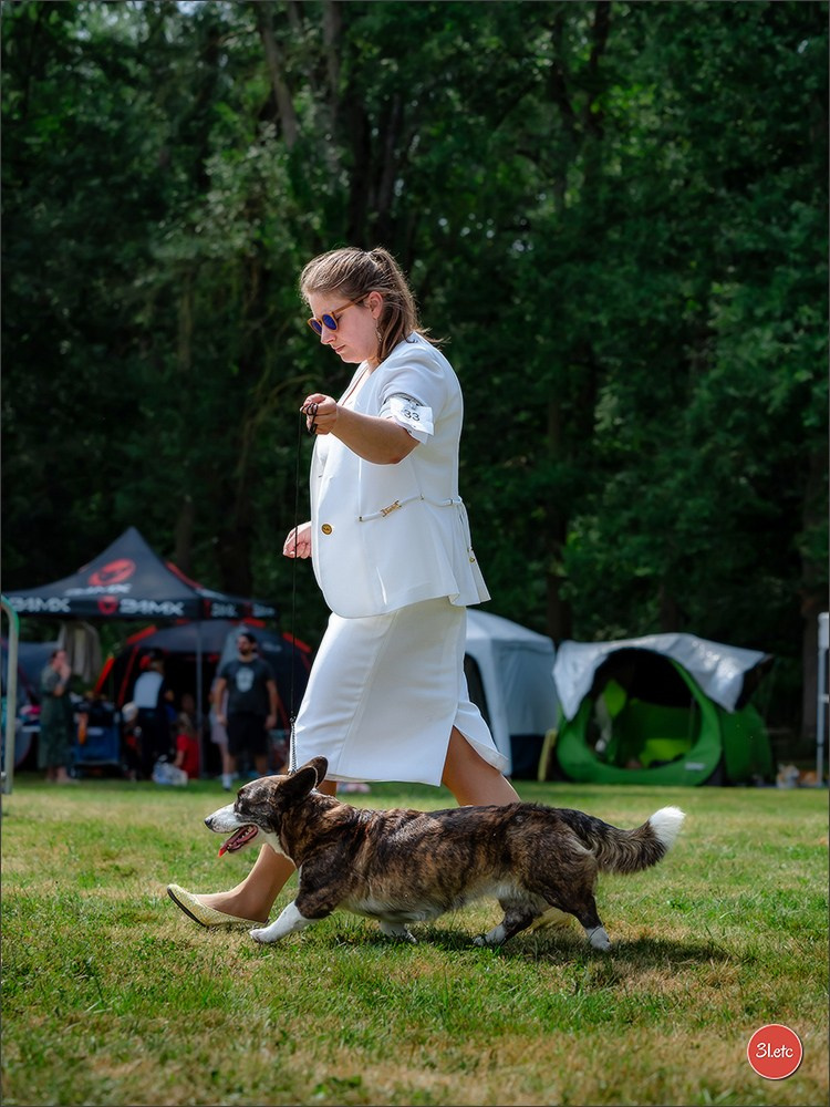 🇫🇷 Romorantin - Exposition Canine Nationale. Photographe à Strasbourg | Portraits, Studio, Enfants, Événements