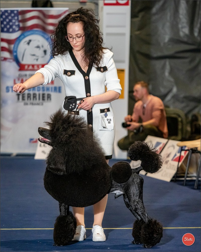 Expositions canines des 6 & 7 avril 2024 NDS Mulhouse, France. Photographe à Strasbourg | Portraits, Studio, Enfants, Événements