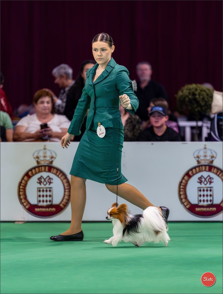 Expo canine 🇲🇨 Monaco 9-10/05/2026. Photographe à Strasbourg | Les animaux, Portraits, Studio, Événements