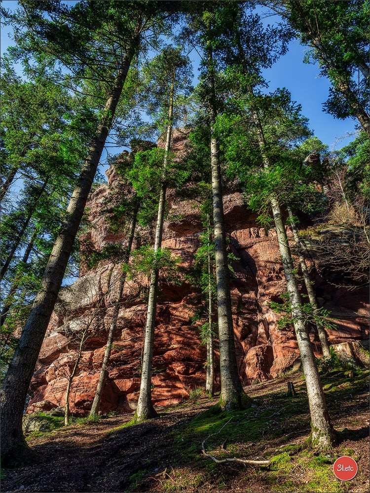 Une forêt, un rocher et un cimetière gallo-romain. Photographe à Strasbourg | Portraits, Studio, Enfants, Événements