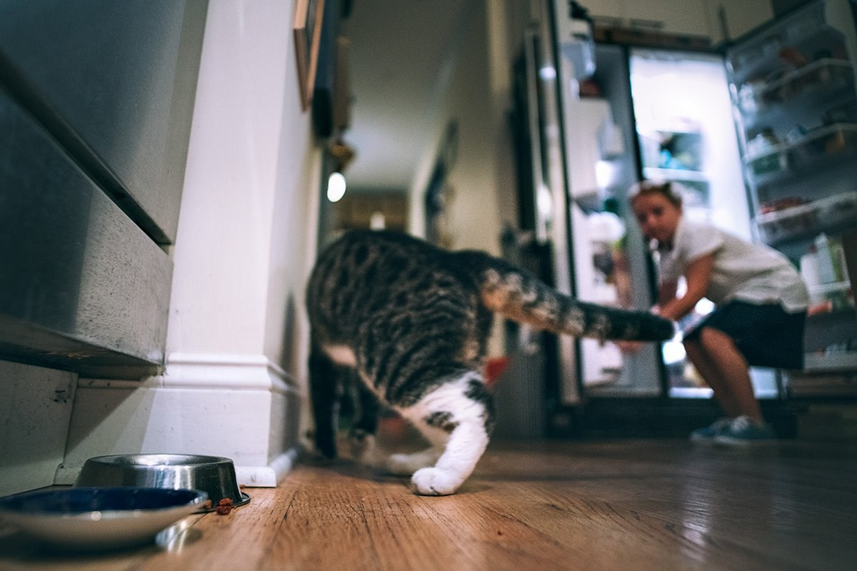 10 years ago Today — First day of school (Sophie and Eva) — Sony A7R II + Ultron 21mm f1.8 (Everything without autofocus). Emin Kuliyev — Award-Winning Wedding Photojournalist NYC & USA | Best Wedding Photographer Known for Candid, Timeless Moments