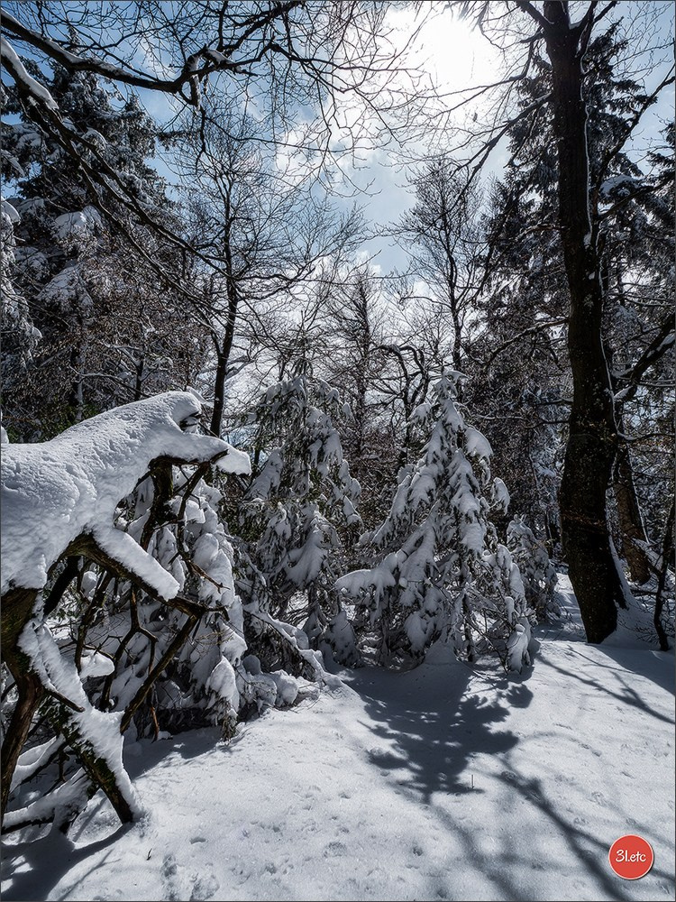 Temps étonnant fin avril en Alsace. Il a neigé. Photographe à Strasbourg | Portraits, Studio, Enfants, Événements