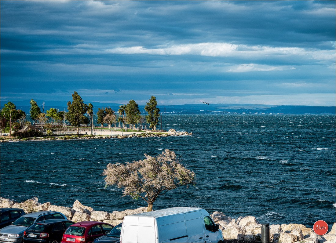 Martigues 19-20/04/2025. Photographe à Strasbourg | Portraits, Studio, Enfants, Événements