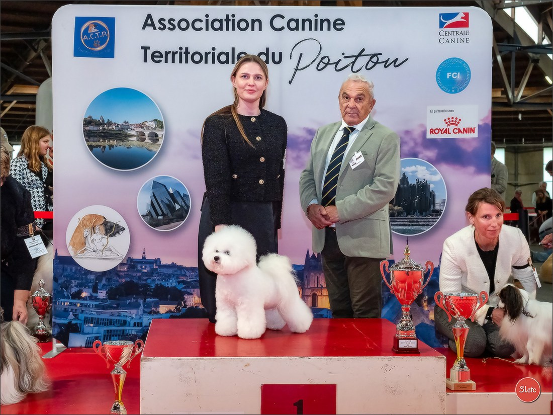 Expo canine 🇫🇷 Poitiers 18-19/10/2025. Photographe à Strasbourg | Portraits, Studio, Enfants, Événements