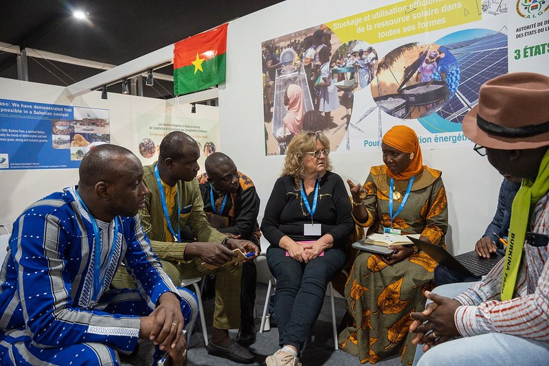 COP29. Ulvidasdamir.com