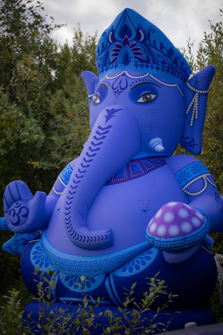 Krishna Janmashtami. Samid Ali