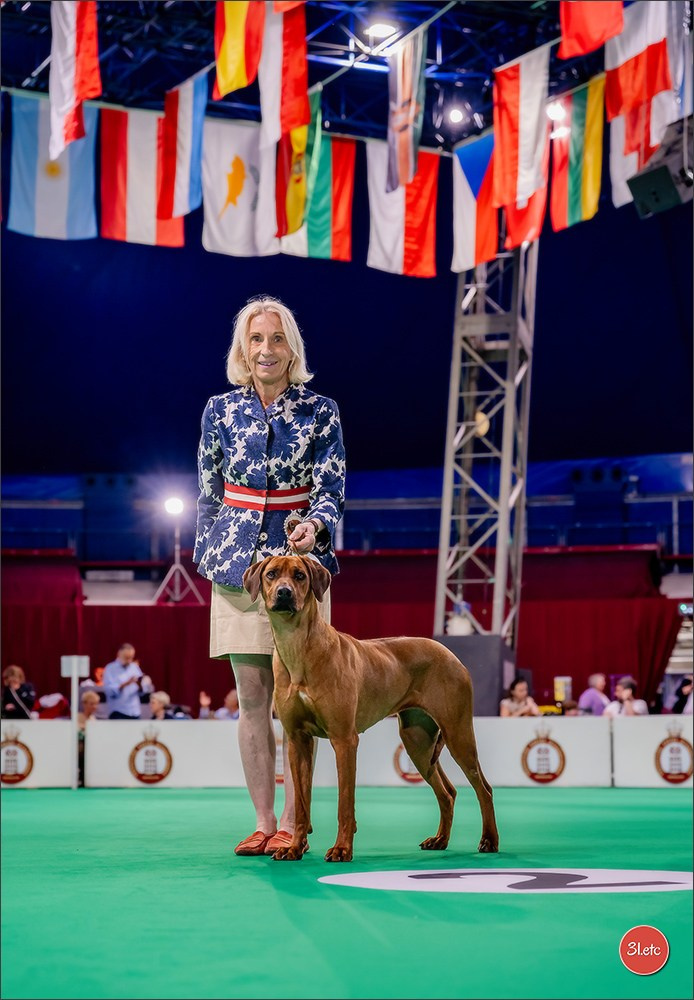 Expo canine 🇲🇨 Monaco 9-10/05/2026. Photographe à Strasbourg | Les animaux, Portraits, Studio, Événements