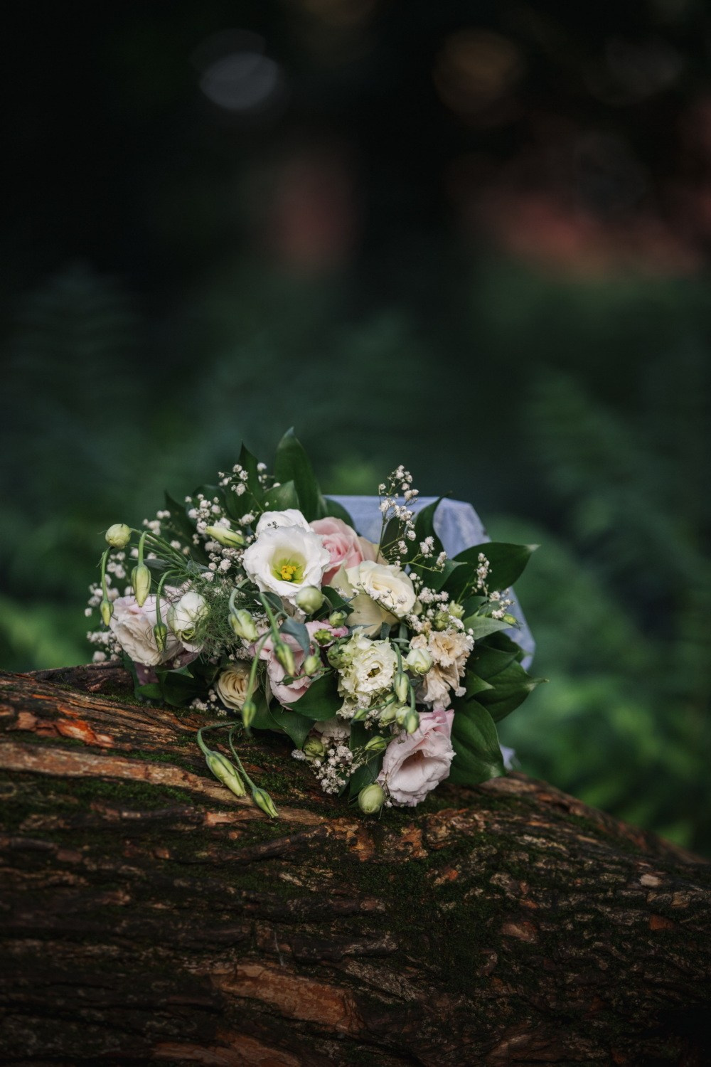 MLADENCI. Fotografi iz Backog Petrovca David i Andrea Stojanovic