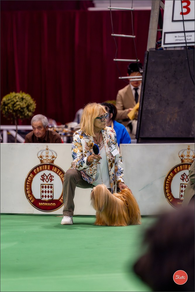 Expo canine 🇲🇨 Monaco 9-10/05/2026. Photographe à Strasbourg | Les animaux, Portraits, Studio, Événements