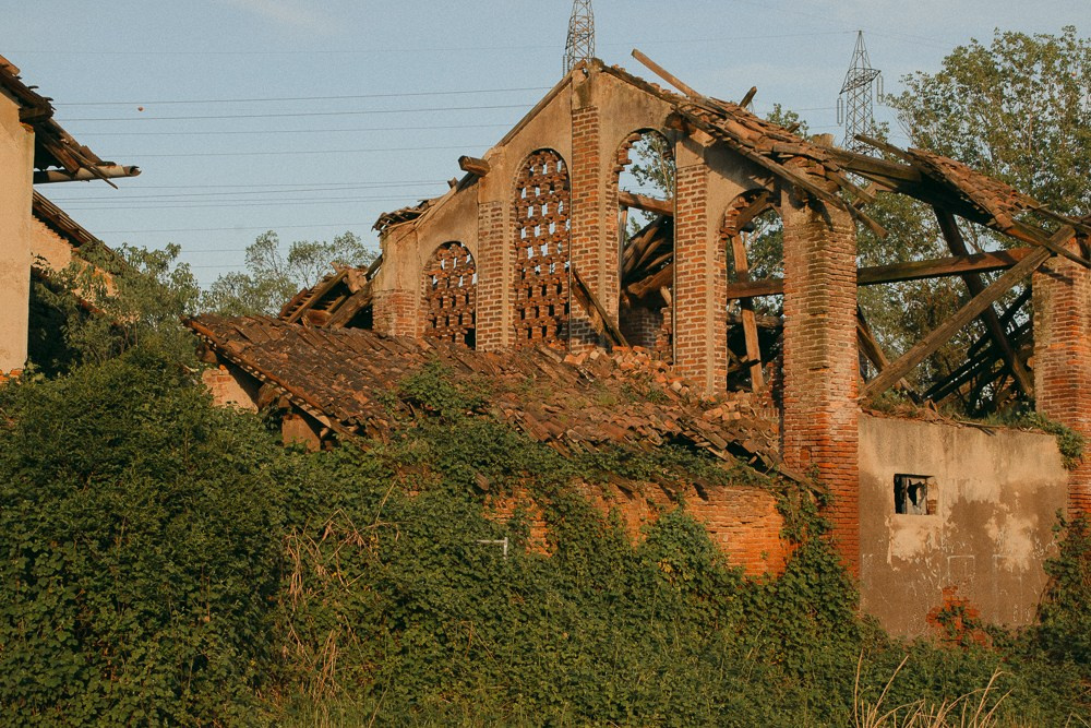 Under sunset light. Анастасия Бучинская фотограф в Милане