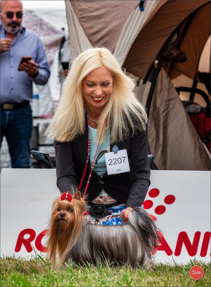 Championnat de France du chien de race  🇫🇷  DIJON (château de Brognon) 7-8/06/2025. Photographe à Strasbourg | Portraits, Studio, Enfants, Événements