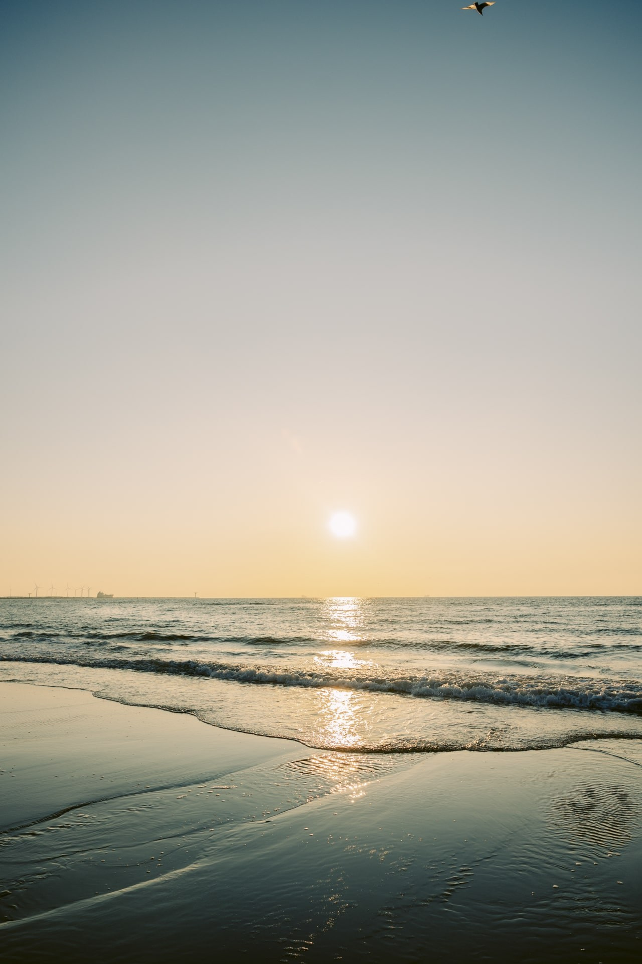 Seaside Portraits — Summer Breeze in Hoek van Holland. Romantic & Soulful Photography by Natalia Olhova in Rotterdam