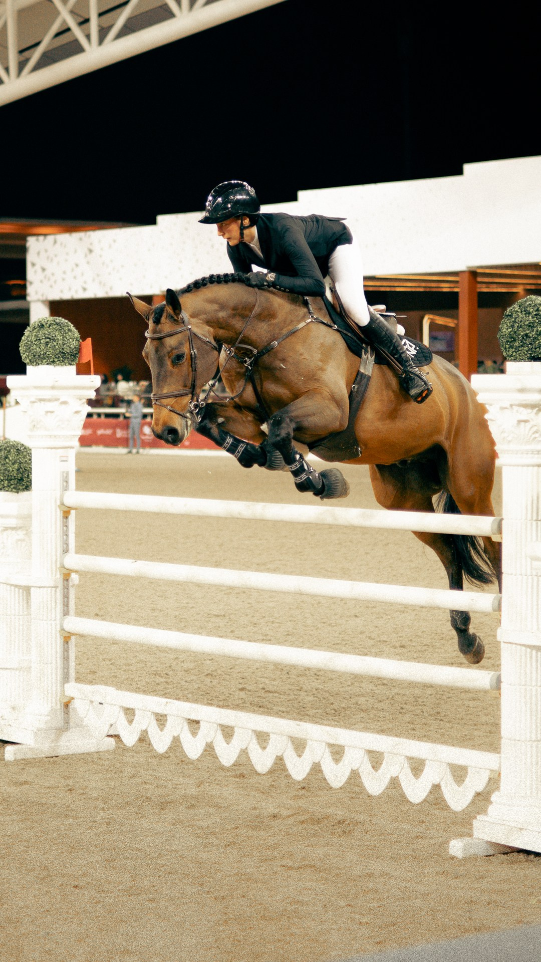 Doha Tour 2024 🐎. Regina Turbin — official website