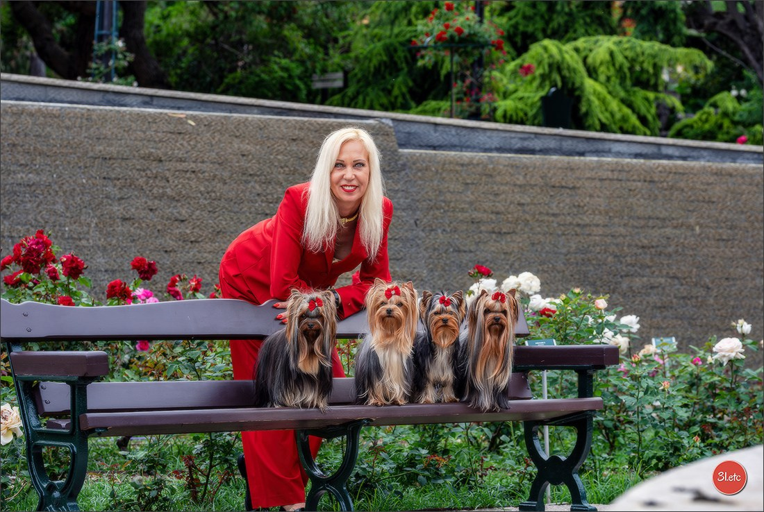 Expo canine 🇲🇨 Monaco 9-10/05/2026. Photographe à Strasbourg | Les animaux, Portraits, Studio, Événements