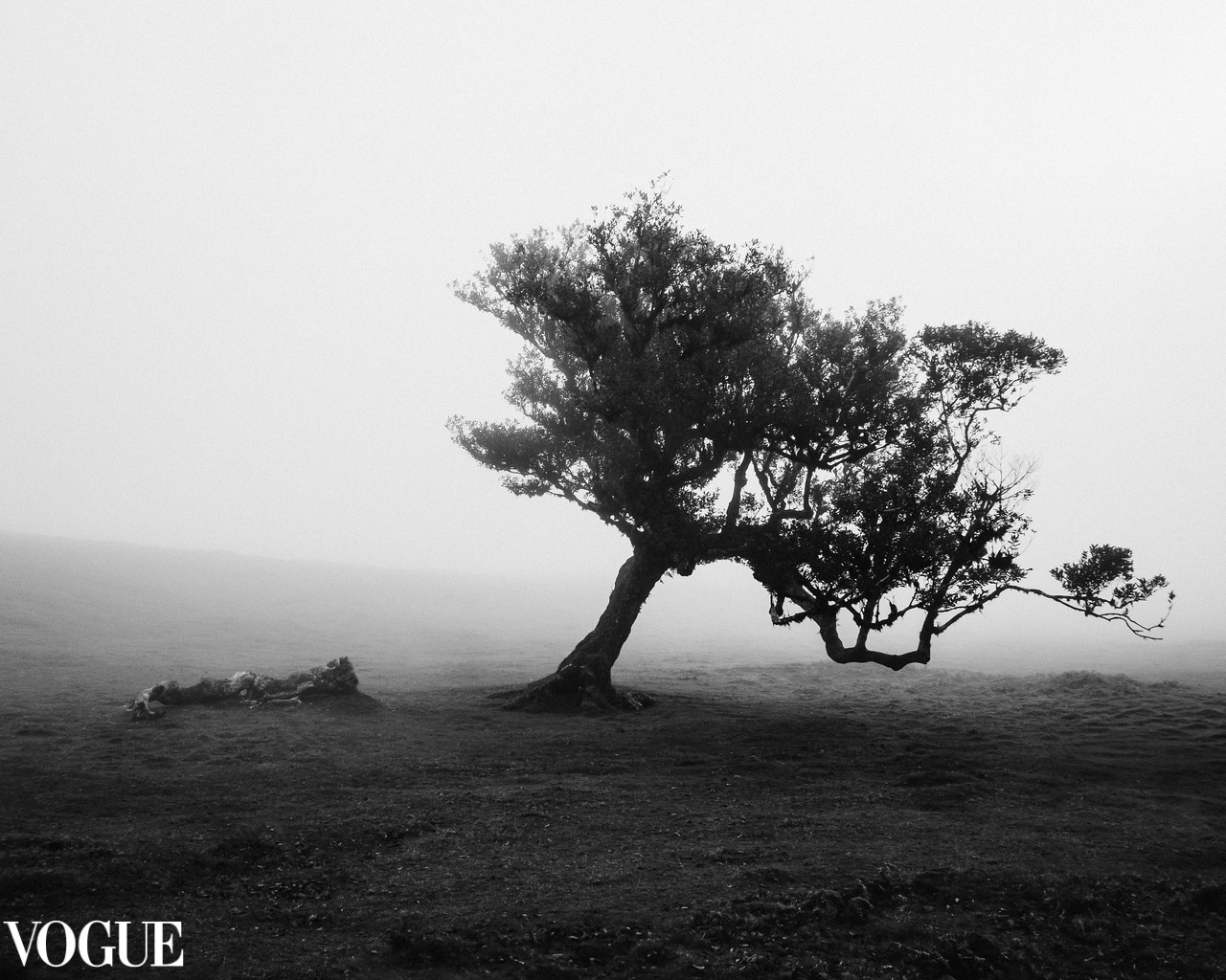 AWARDS. Yana Bobrova | Artistic Photography