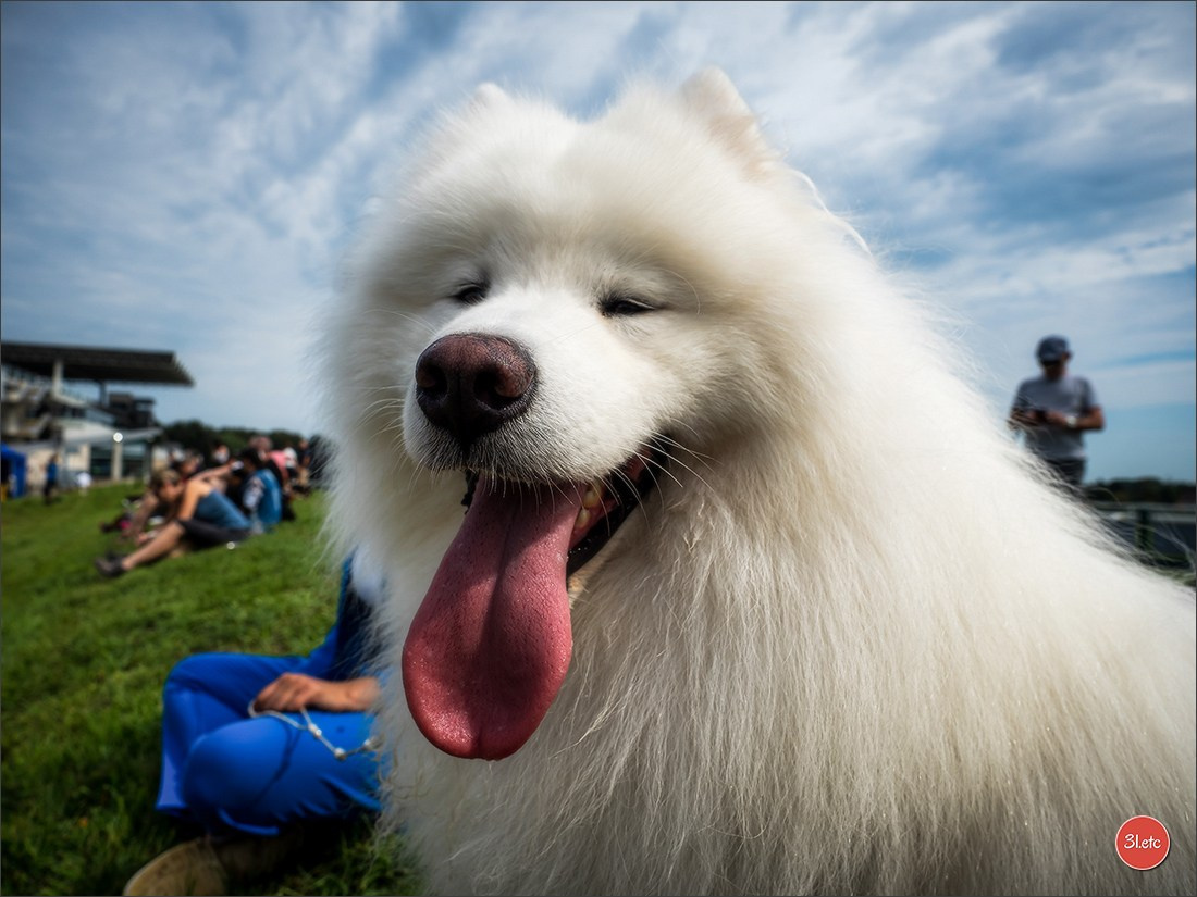 Photographie animalière. Photographe à Strasbourg | Portraits, Studio, Enfants, Événements