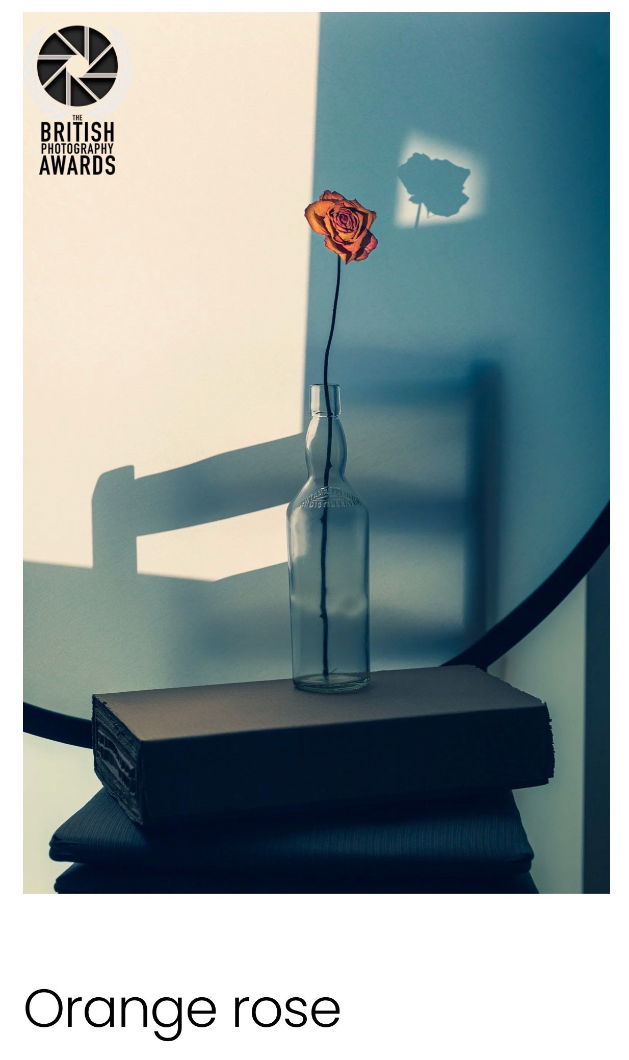 ARTDOC Photography magazine. Marina Tsaregorodtseva Fine Art photographer, London