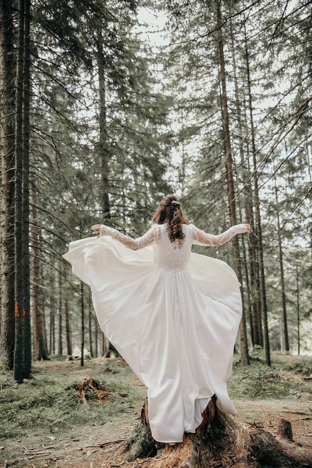 Galerija. Mladen Stanić Photography