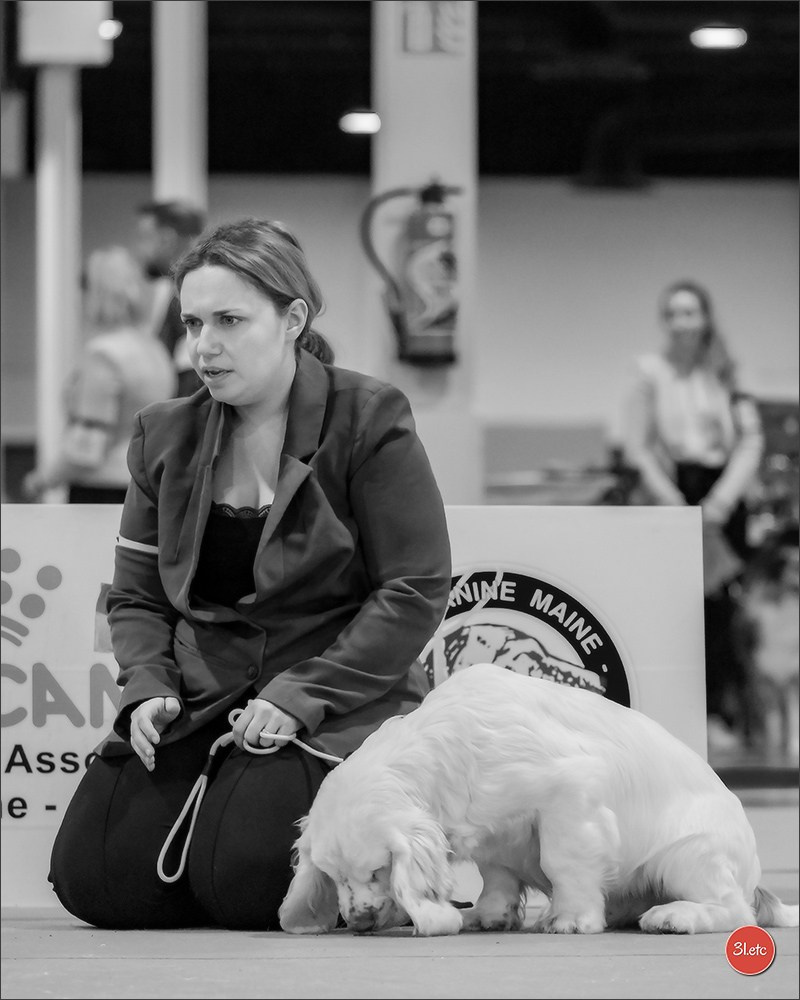 Expo canine  🇫🇷  Angers  22-23/03/2025. Photographe à Strasbourg | Portraits, Studio, Enfants, Événements