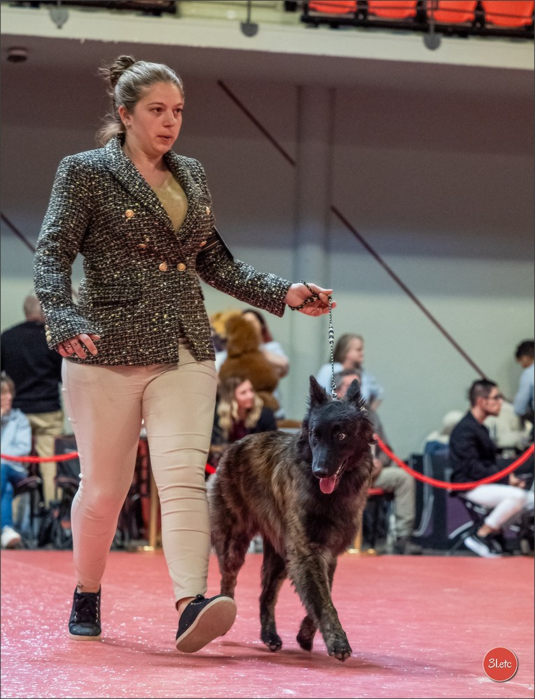Expo canine 🇫🇷 Martigues  19-20/04/2025. Photographe à Strasbourg | Portraits, Studio, Enfants, Événements