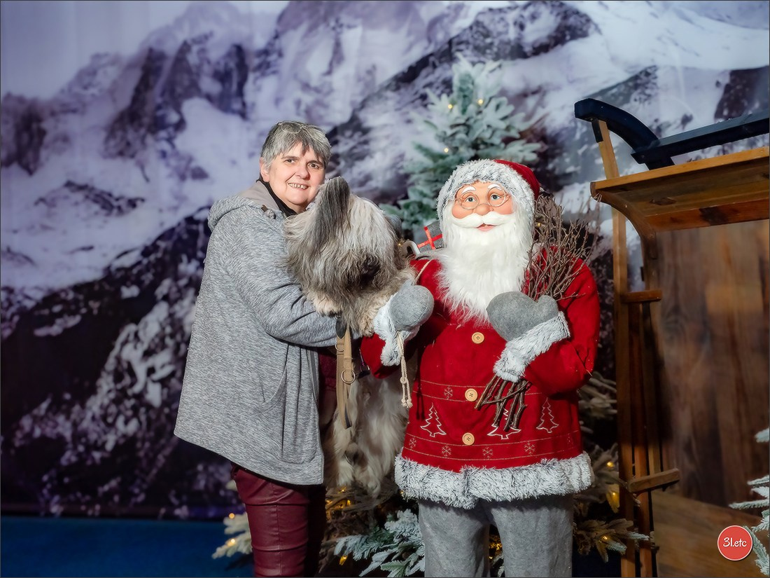 13-14.12.2025   🇧🇪   Brussels Dog Show. Photographe à Strasbourg | Portraits, Studio, Enfants, Événements