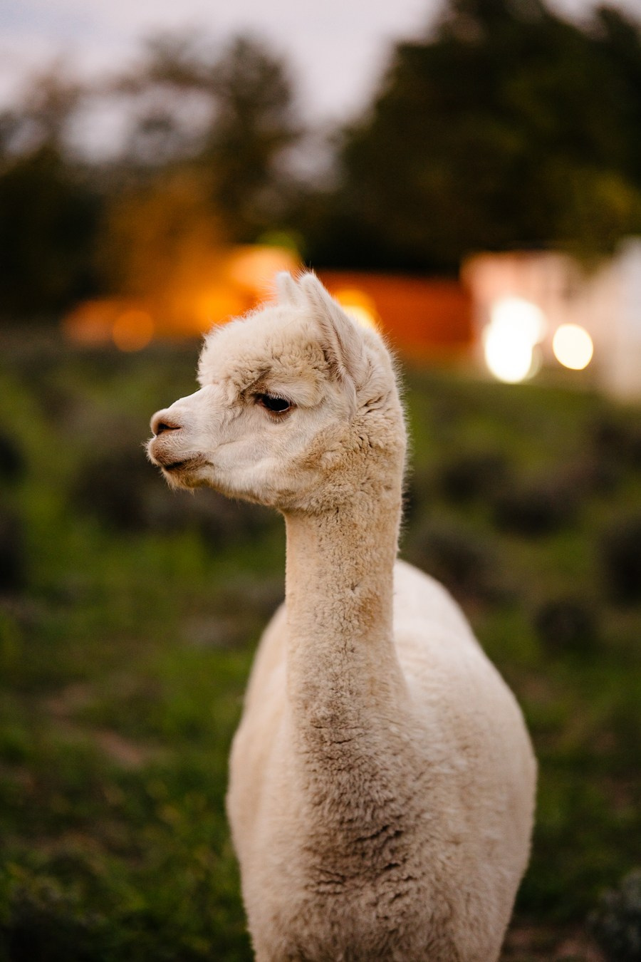 Fotografie Imobiliară Profesională | Birouri & Spații. Fotograf Corporate Business