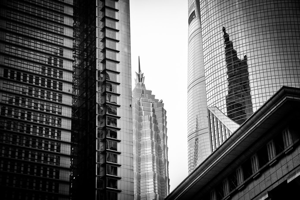 Sangaj. Bojana Žuža fotograf u Beogradu 📷 Belgrade photographer