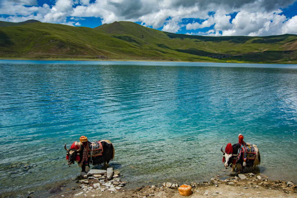 Himalayas and monasteries, Tibet. Bojana Žuža, photographer in Belgrade, Serbia