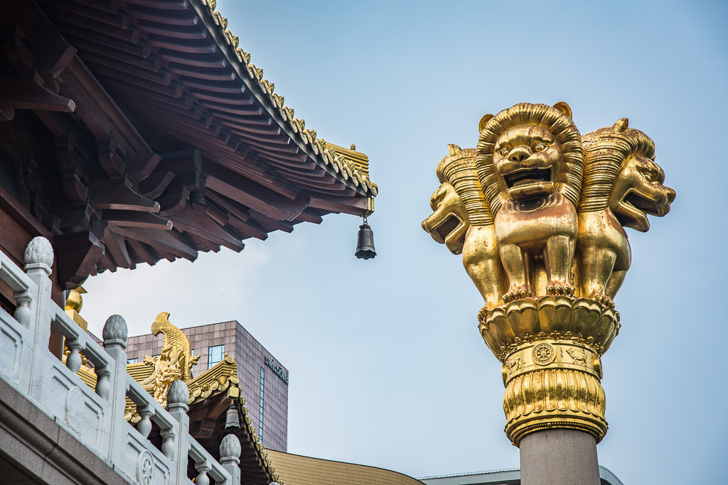 Sangaj. Bojana Žuža fotograf u Beogradu 📷 Belgrade photographer