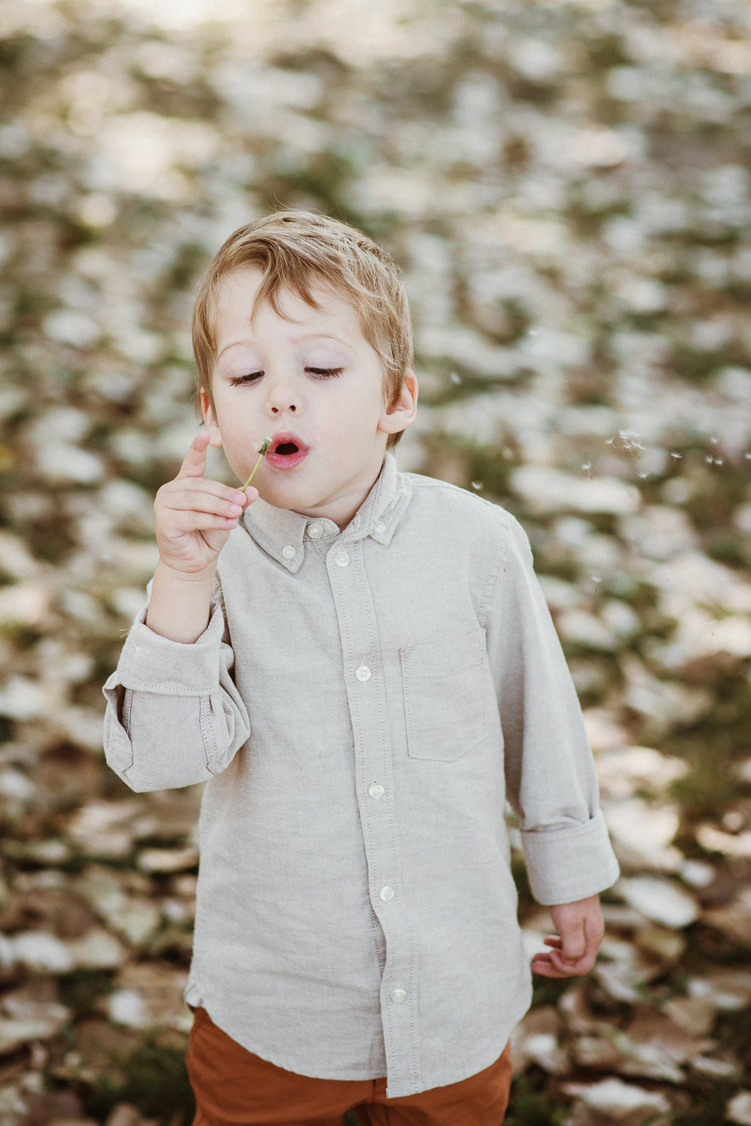 Family. Bojana Žuža, photographer in Belgrade, Serbia