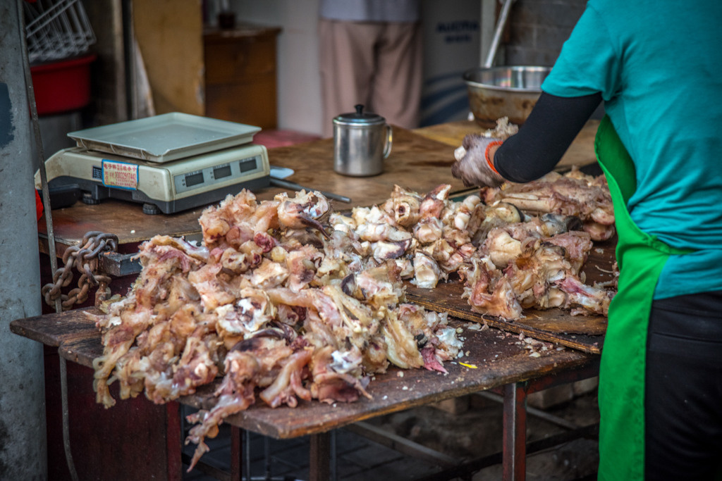 Xian. Bojana Žuža, photographer in Belgrade, Serbia