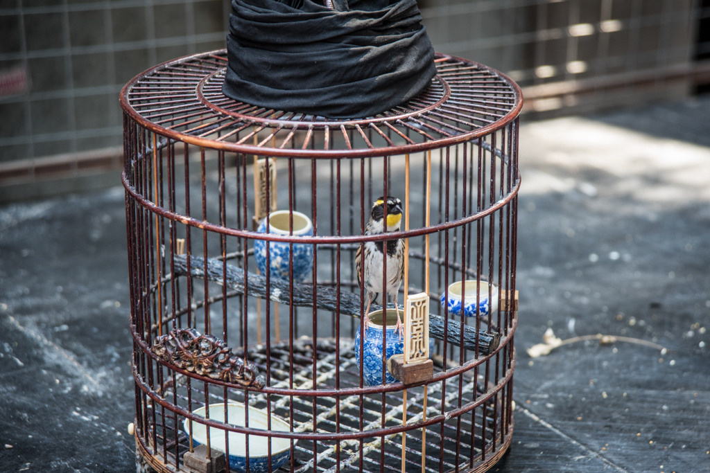 Xian. Bojana Žuža, photographer in Belgrade, Serbia