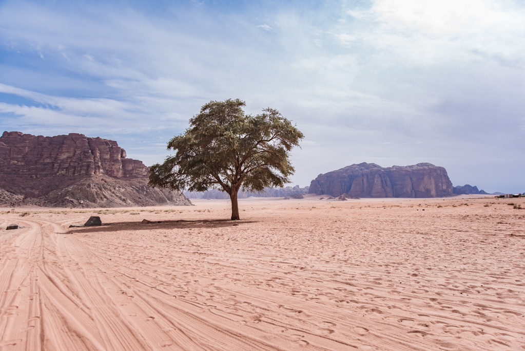 Jordan. Bojana Žuža fotograf u Beogradu 📷 Belgrade photographer