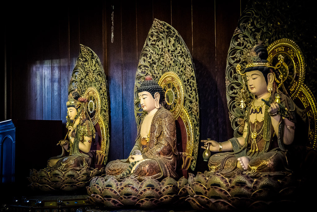 Sangaj. Bojana Žuža fotograf u Beogradu 📷 Belgrade photographer