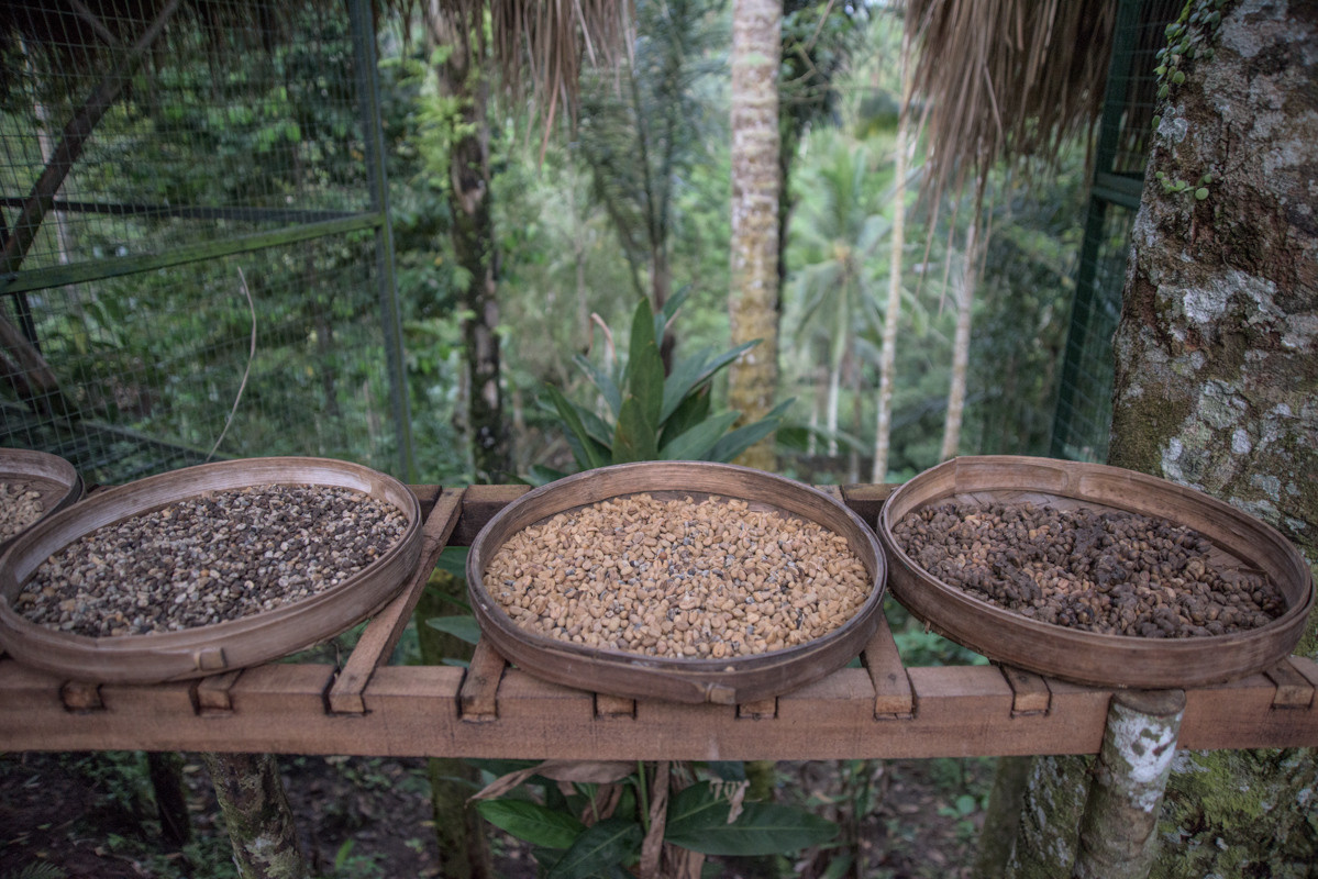 Indonesia. Bojana Žuža, photographer in Belgrade, Serbia