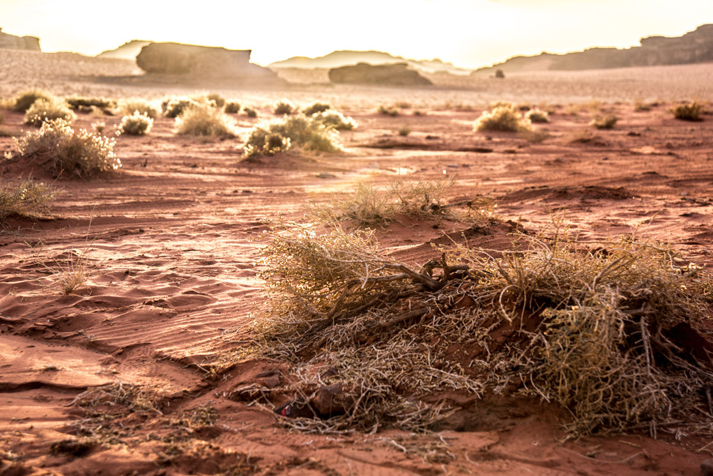 Jordan. Bojana Žuža fotograf u Beogradu 📷 Belgrade photographer