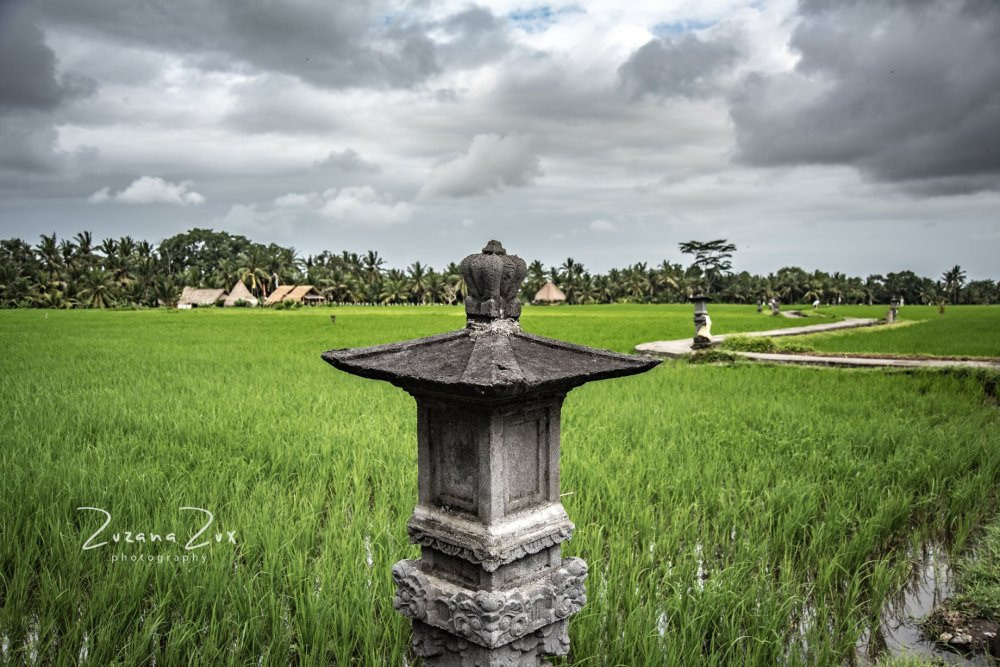 Indonesia. Bojana Žuža, photographer in Belgrade, Serbia
