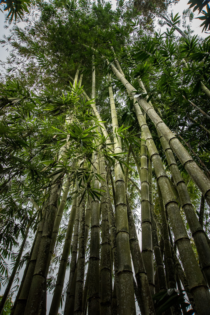 Indonesia. Bojana Žuža, photographer in Belgrade, Serbia