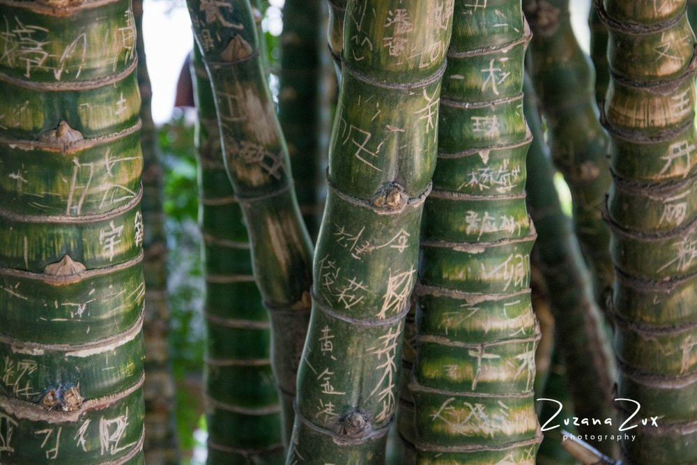 China. Bojana Žuža, photographer in Belgrade, Serbia