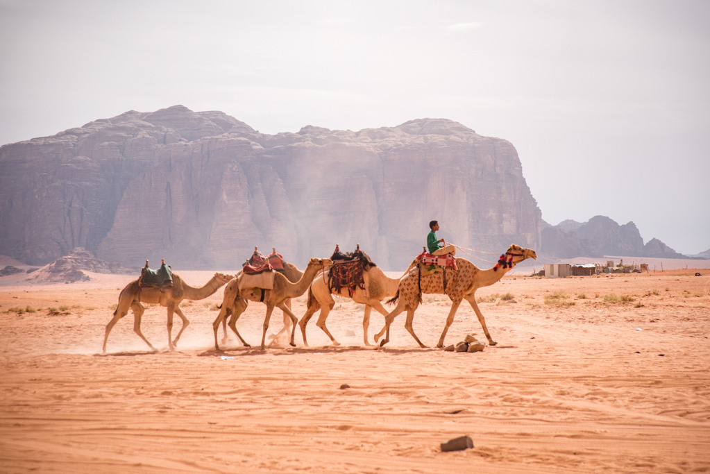 Jordan. Bojana Žuža fotograf u Beogradu 📷 Belgrade photographer