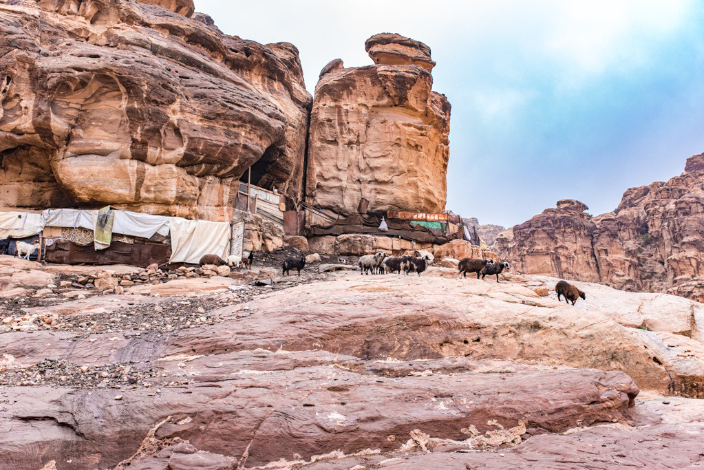 Jordan. Bojana Žuža fotograf u Beogradu 📷 Belgrade photographer