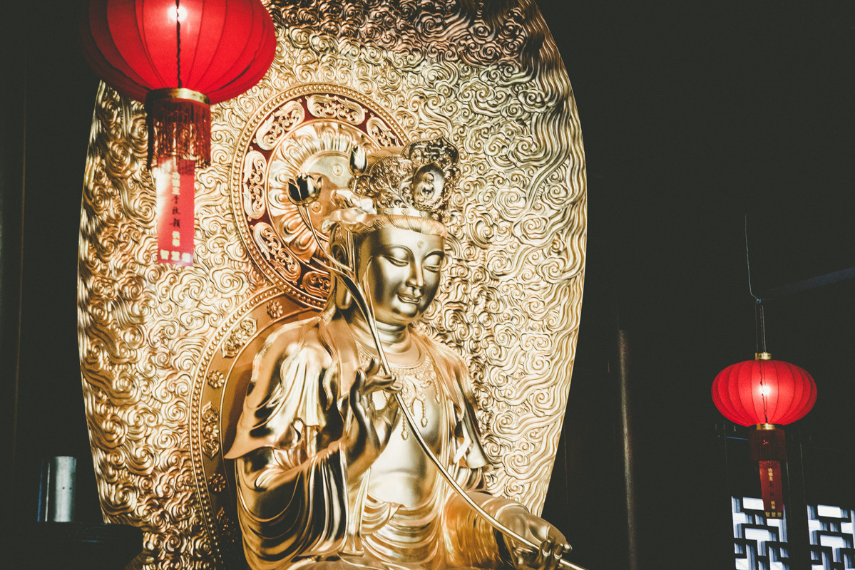 Sangaj. Bojana Žuža fotograf u Beogradu 📷 Belgrade photographer