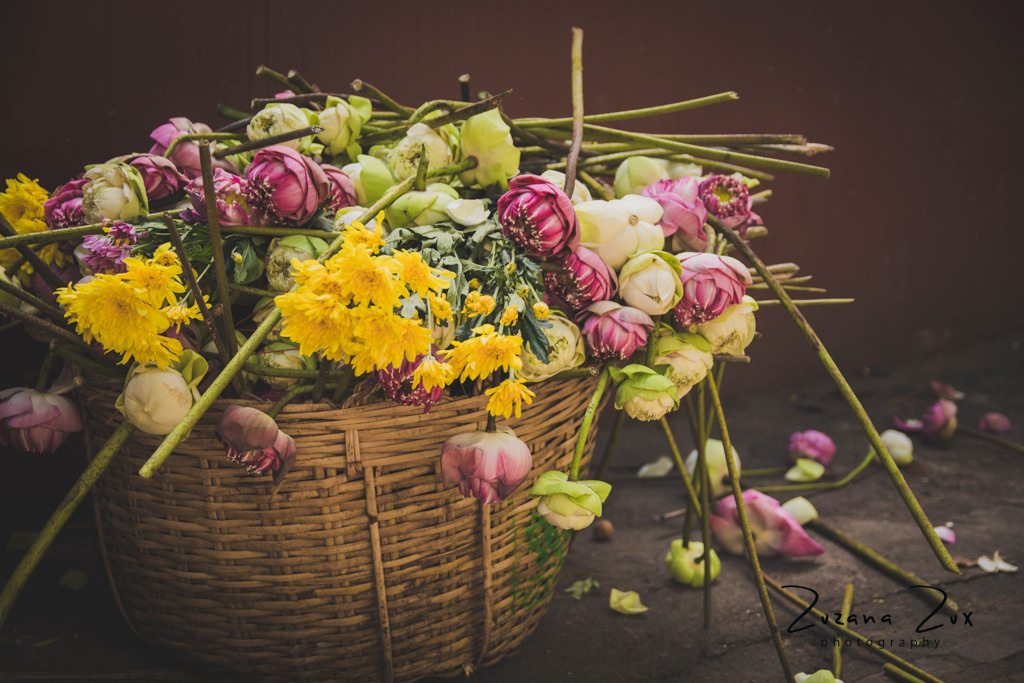 Cambodia. Bojana Žuža, photographer in Belgrade, Serbia
