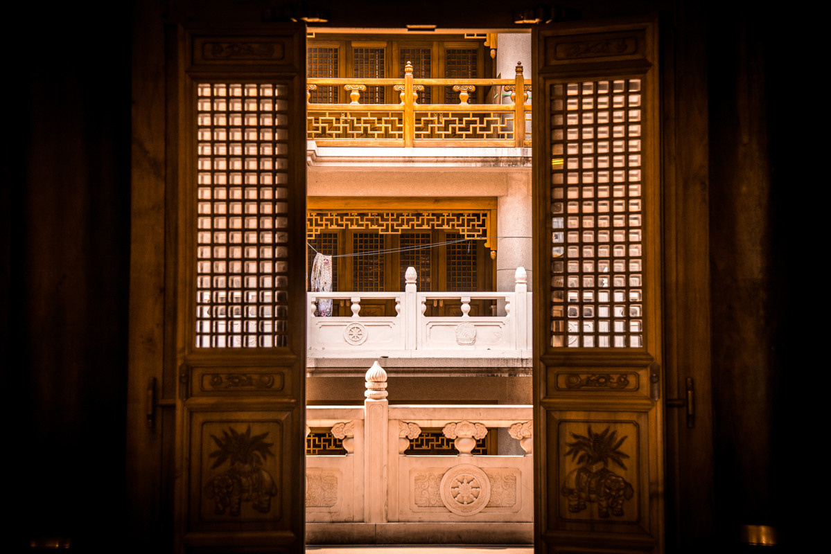 Sangaj. Bojana Žuža fotograf u Beogradu 📷 Belgrade photographer