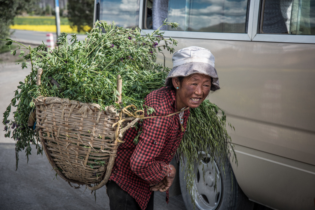 Himalayas and monasteries, Tibet. Bojana Žuža, photographer in Belgrade, Serbia