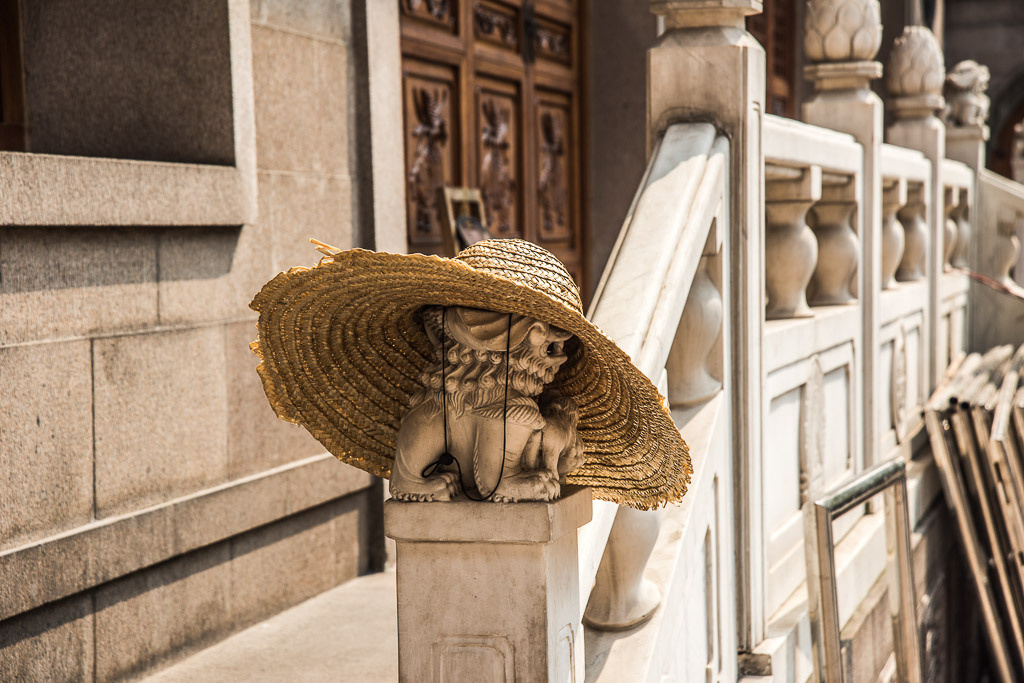 Sangaj. Bojana Žuža fotograf u Beogradu 📷 Belgrade photographer